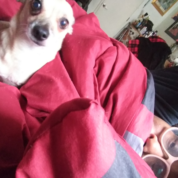 Meet your Posher, Asia - Picture 3 of 4